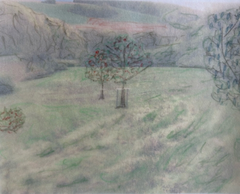 image1